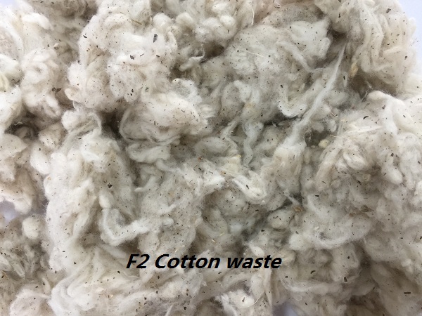  Bông BTB2 - 100% Cotton